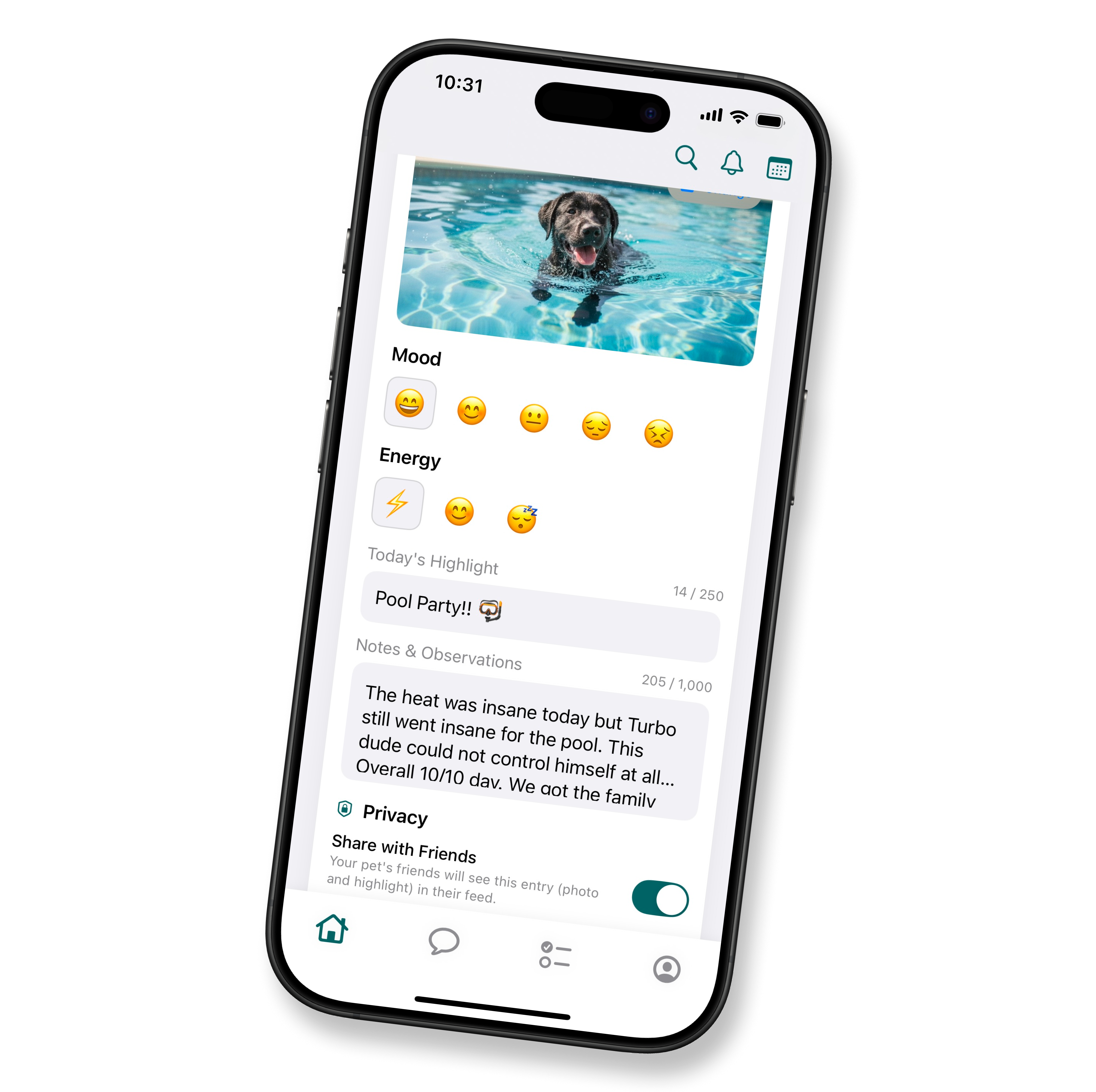 Daily diary entry and friends' feed - Animo